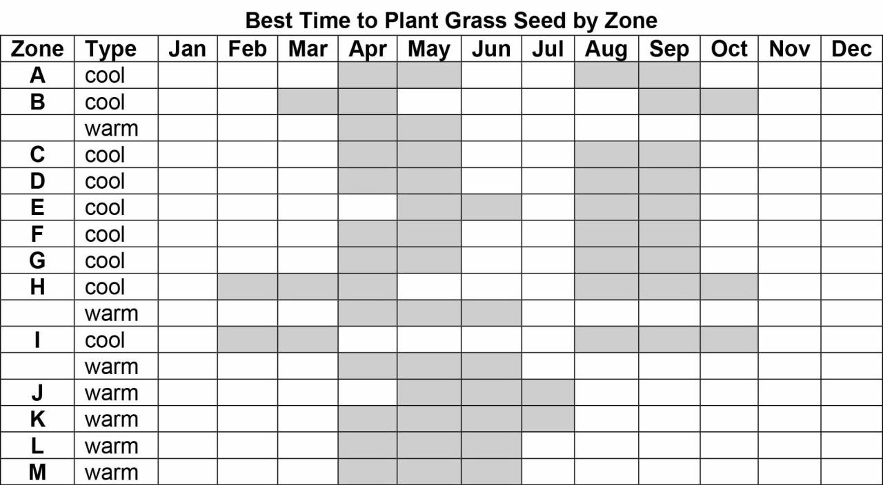 Timing Is Everything! When to Sow Grass Seed in the UK for Maximum Growth